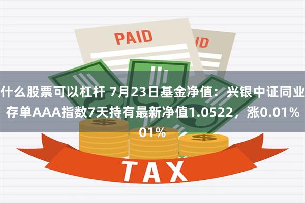 什么股票可以杠杆 7月23日基金净值：兴银中证同业存单AAA指数7天持有最新净值1.0522，涨0.01%