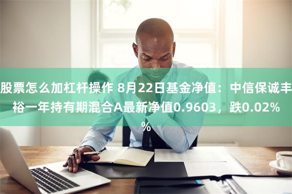 股票怎么加杠杆操作 8月22日基金净值：中信保诚丰裕一年持有期混合A最新净值0.9603，跌0.02%