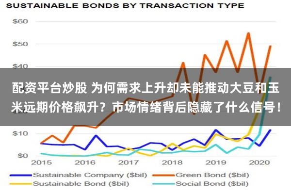 配资平台炒股 为何需求上升却未能推动大豆和玉米远期价格飙升？市场情绪背后隐藏了什么信号！
