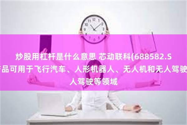 炒股用杠杆是什么意思 芯动联科(688582.SH)：产品可用于飞行汽车、人形机器人、无人机和无人驾驶等领域