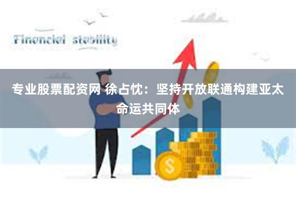 专业股票配资网 徐占忱：坚持开放联通构建亚太命运共同体