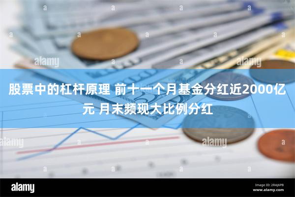 股票中的杠杆原理 前十一个月基金分红近2000亿元 月末频现大比例分红