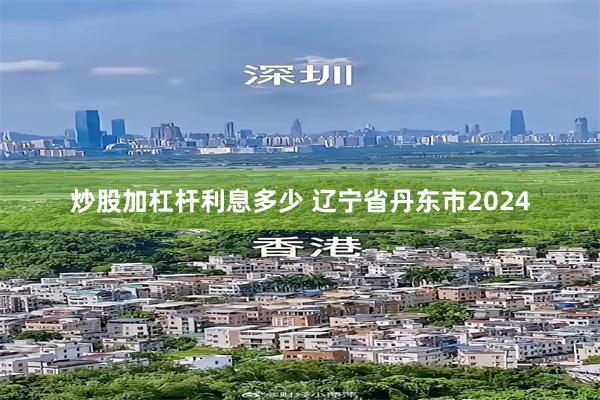 炒股加杠杆利息多少 辽宁省丹东市2024