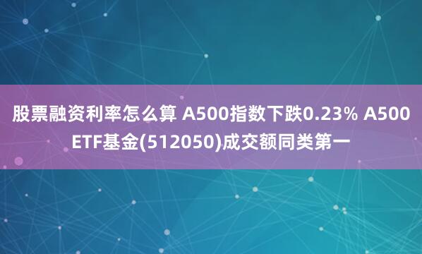 股票融资利率怎么算 A500指数下跌0.23% A500ETF基金(512050)成交额同类第一