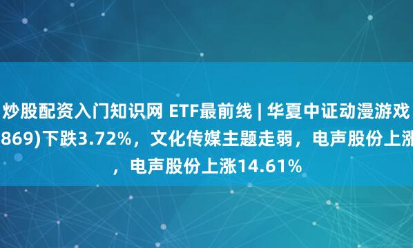 炒股配资入门知识网 ETF最前线 | 华夏中证动漫游戏ETF(159869)下跌3.72%，文化传媒主题走弱，电声股份上涨14.61%