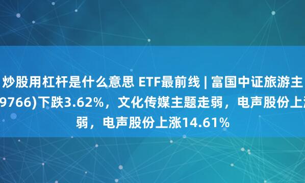 炒股用杠杆是什么意思 ETF最前线 | 富国中证旅游主题ETF(159766)下跌3.62%，文化传媒主题走弱，电声股份上涨14.61%